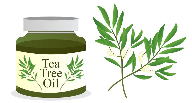 tea-tree.jpg